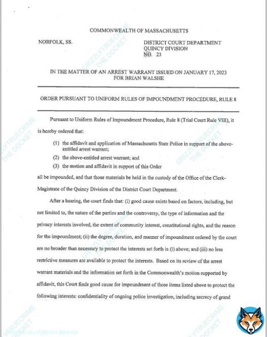 Brian Walshe has been charged with murder- I feel terrible for Ana and her 3 boys  #AnaWalshe #BrianWalshe