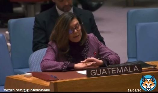 Guatemala  reaffirmed its commitment with the rule of law participating in the #UNSC Open Debate organized by Japan . Guatemala  joined   call &ldquo;uniting for the #RuleofLaw.