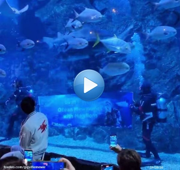 he was so happy when he read it  &ldquo;Ocean Mewmories with Mewlions&rdquo;   SEA LIFE BANGKOK X MSS #SeaLifeBKKxMEW