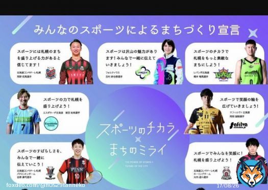 くだらん！こんな、ポスターにせず左側の画像に野球を入れたポスターにするべきだったのでは？  #北海道知事選挙  #北海道議会議員選挙 #ポスター #プロスポーツは野球だけじゃない