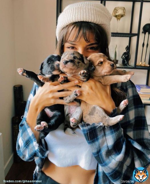 hi! i created this fundraising campaign for the animals affected by the turkey earthquake in Hande Er&ccedil;el&rsquo;s name. we all know how much she adores animals and the happiness they give her! they need our help in such a time so let&rsquo;s unite! #HandeEr&ccedil;el