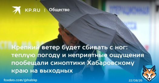 Крепкий ветер будет сбивать с ног: теплую погоду и неприятные ощущения пообещали синоптики Хабаровскому краю на выходных  Погода в Хабаровске: прогноз в Хабаровске на выходные, погода в Хабаровском крае на 4-5 марта   Ветер до 20 метров в секунду ожид...