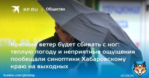 Крепкий ветер будет сбивать с ног: теплую погоду и неприятные ощущения пообещали синоптики Хабаровскому краю на выходных  Погода в Хабаровске: прогноз в Хабаровске на выходные, погода в Хабаровском крае на 4-5 марта   Ветер до 20 метров в секунду ожид...