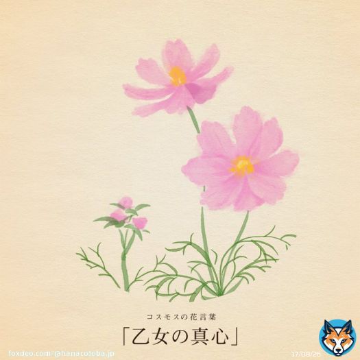 きょう9月23日は 秋分の日 テニスの日 不動産の日 万年筆の日 海王星の日 夕陽の日 網膜の日 靴磨きの日 国生みの日 カフスボタンの日 両性愛を祝う日 動物虐待防止の日 おいしい小麦粉の日  誕生花はコスモス(秋桜) 花言葉「乙女の真心」
