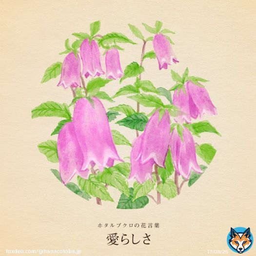 きょう11月26日は ペンの日 いい付録の日 いい風呂の日 いいチームの日 いいプルーンの日  誕生花はホタルブクロ 花言葉は「愛らしさ」