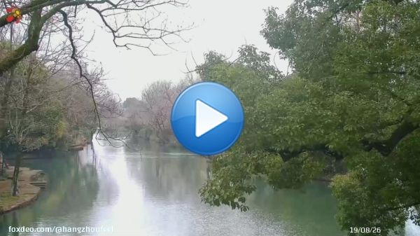 As you journey to Xixi National Wetland Park in #Hangzhou, you'll be treated to a stunning display of natural beauty. Overhead, leaves rustle faintly in the breeze while passing tourist boats leave behind shimmering rings of ripples. #HangzhouOnCloud