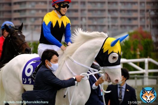 ソダシちゃんお誕生日おめでとう。  (2022.11.20 阪神競馬場11R マイルCS　ソダシ号/吉田隼人騎手)