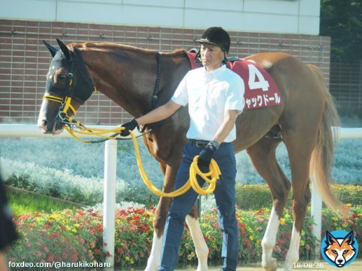 2022年札幌記念の1～3着馬 その後の成績  1着　ジャックドール号&rarr;2023年大阪杯優勝  2着　パンサラッサ号&rarr;2023年サウジカップ優勝  3着　ウインマリリン号&rarr;2022年香港ヴァーズ優勝