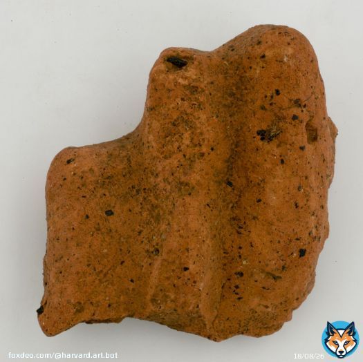 TERRA COTTA EX-VOTO, FRAGMENT OF A FOOT, FROM VEII .   | 1977.216.1930
