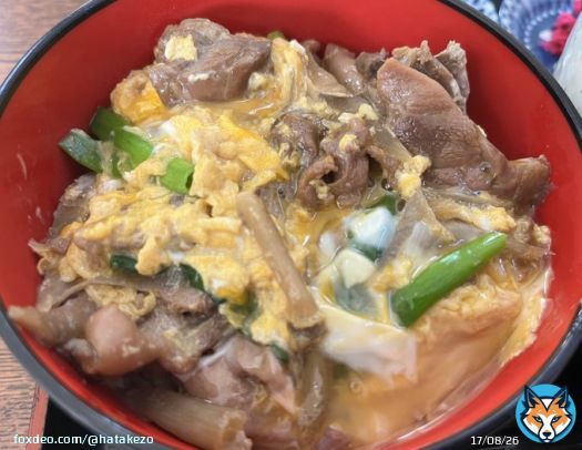 地鶏丼とうどんセット。 #宮崎県知事選挙 #選挙漫遊記