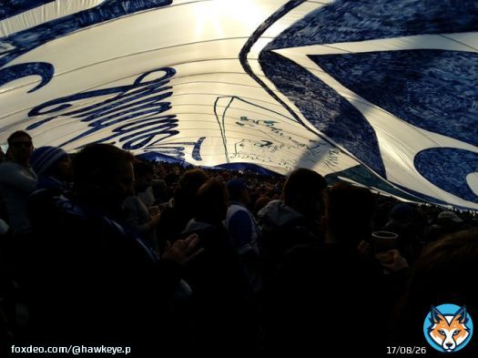 #D98FCM #Lilien
