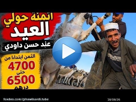 هذا هو الثمن الحقيقي ديال حولي العيد من عند حسن الداودي