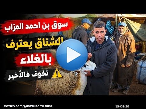 ثمن حولي العيد من سوق اتنين بن احمد المزاب إقليم سطات بتاريخ 18/05/2026