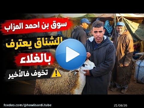 ثمن حولي العيد من سوق اتنين بن احمد المزاب إقليم سطات بتاريخ 18/05/2026