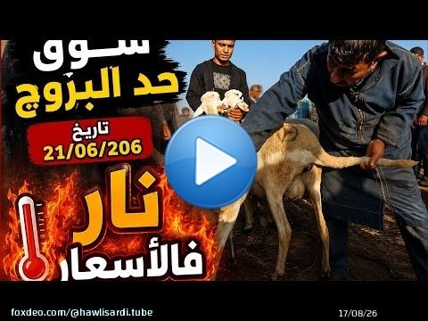 اليوم من سوق حد البروج بني مسكين اقليم سطات بتاريخ (21/06/2026)