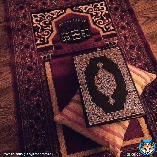 خواتيم رمضان   'اللَّهُم أنزل طمأنينتك على كل قلب أرهقته الحياة، وأنزل عافيتك على كل مريض يشكو التعب، وأنزل رحمتك على من سكنوا تحت الثرى، يا جبار السماوات والأرض أجبرنا جبراً يليق بك جبراً أنت أهله ووليه برحمتك يا أرحم الراحمين'. #ليله_القدر_خير_من_ا_الف_شهر &zwnj; #ليلة_القدر