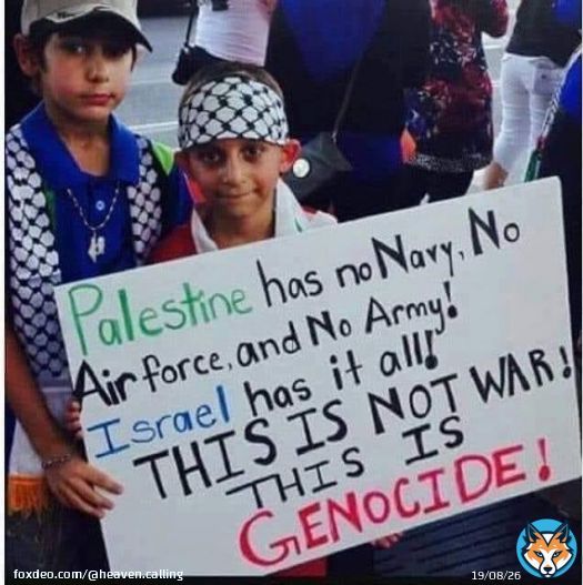 This is a shame fo us Muslim Ummah why Palestinian are alone where is Muslim brotherhood and sisterhood ?  #Palestinian #IsraeliApartheid #Islamabad