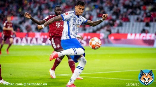 Squad update: @davieselke27 suffered a fractured rib during #FCBBSC, an examination has concluded. Our number  will therefore be out of action for the time being. Get well soon, Davie!   #GemeinsamHertha #HaHoHe
