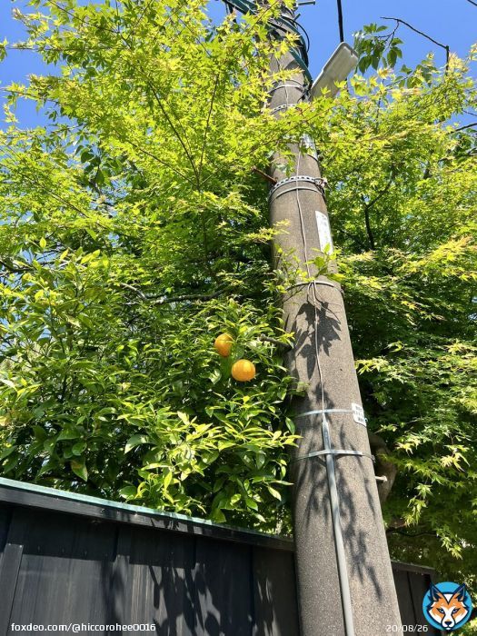 毎日めっちゃたのしい飯もうまい5月最高