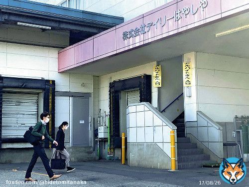 カエル苦手マンなのでこれにあたったら一生トラウマになりそうである  イトーヨーカドーで販売のサラダにカエル混入か&hellip;製造元、納入８食のうち３食回収（読売新聞） - goo ニュース