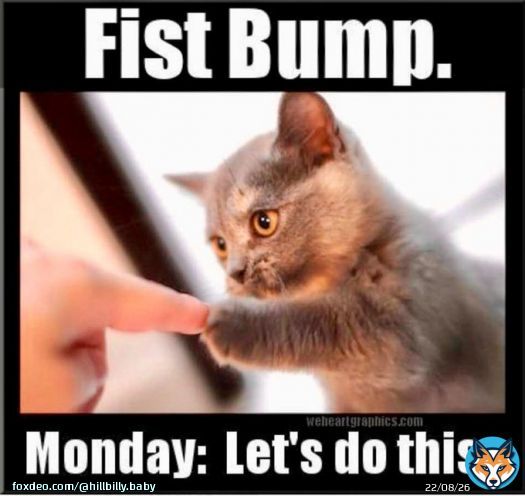 Happy Monday, y'all! #MondayMorning #Mondayblues #MondayMotivaton