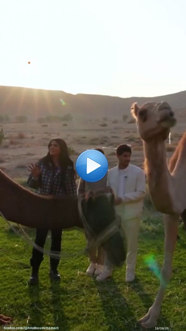 هند اترعبت برنامج #صباح_الخير_يا_عرب من الأحد- الخميس الساعة 11 صباحاً بتوقيت السعودية على #MBC1 لمتابعة البث المباشر مجاناً على شاهد