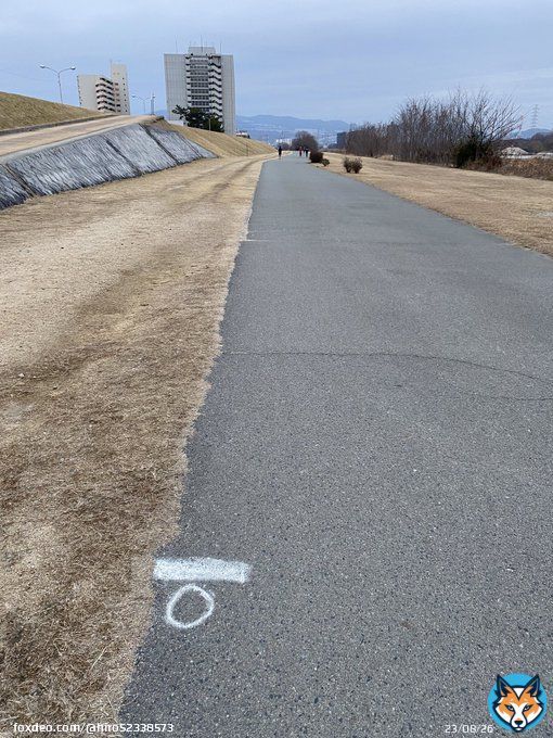 おはようございます。 3km jog - 1km x 6 - 3km jog  [1km x 6 ] Rest 70&rdquo; 3&rsquo;24&rdquo;-3&rsquo;17&rdquo;-3&rsquo;24&rdquo;-3&rsquo;18&rdquo;-3&rsquo;25&rdquo;-3&rsquo;13 タイムはともかく6本やりきりました明日はロングジョグ予定です  みなさん よい1日を\u266a  #朝ラン