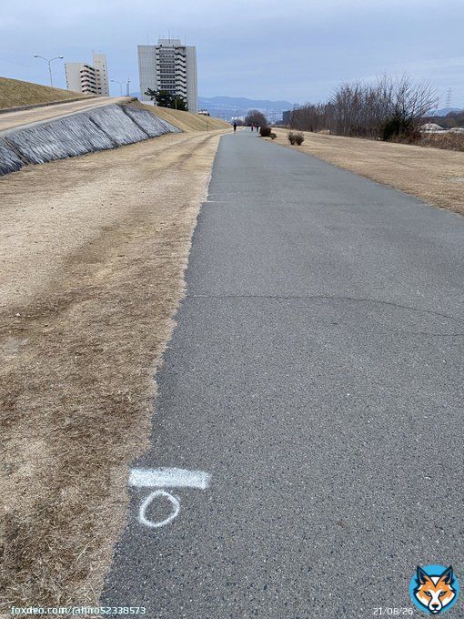 おはようございます。 3km jog - 1km x 6 - 3km jog  [1km x 6 ] Rest 70&rdquo; 3&rsquo;24&rdquo;-3&rsquo;17&rdquo;-3&rsquo;24&rdquo;-3&rsquo;18&rdquo;-3&rsquo;25&rdquo;-3&rsquo;13 タイムはともかく6本やりきりました明日はロングジョグ予定です  みなさん よい1日を\u266a  #朝ラン