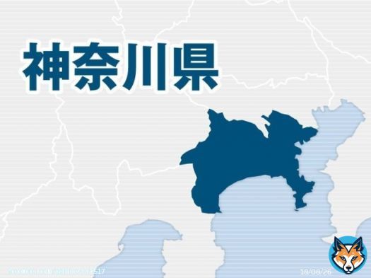 触診装い患者の下半身触る　容疑の院長逮捕　神奈川 (産経ニュース)向精神薬自体が自殺促進作用が主作用だからね！！