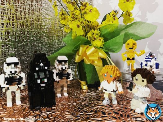 nanoblock STARWARS vol.1  Episode IV  A New Hope  1. Luke Skywalker 2. Princess Leia 3. R2-D2 & C-3PO 4. Darth Vader 5. Stormtrooper  #nanoblock #ナノブロック #STARWARS #スターウォーズ #Episode4 #新たなる希望 #LukeSkywalker  #PrincessLeia #R2D2 #C3PO #DarthVader  #Stormtrooper