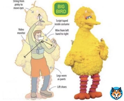 How to Operate the Big Bird Costume  Big Bird is an 8-foot 2-inch (249 cm) anthropomorphic canary that was operated by Carroll Spinney (swipe left) from 1969 to 2018. As Spinney got older, Big Bird appeared less frequently on the show, and when he did, his on-screen time got&hellip;&nbsp;Show more