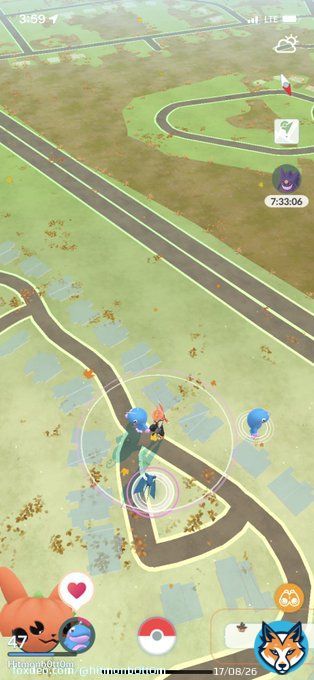 WHEN I SAY I JUST SCREAMED. WHAT THE FUCKKKK #PokemonGo #Zorua