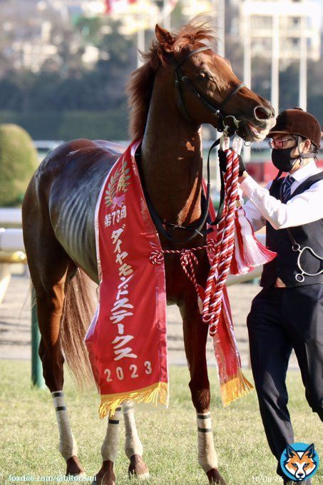 ミクソロジー、4連勝でダイヤモンドS制覇 一瞬も止まらない口取り式の様子 #オルフェーヴル産駒