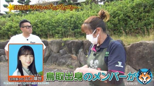 これはぱる嬉しいだろうなぁ  #佐々木美玲 #高本彩花 #山口陽世 #日向坂46 #青空レストラン