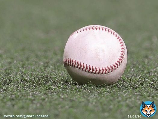 プロ野球、4年ぶり満員での声出し応援復活　ＷＢＣ1次ラウンドから　鳴り物、ジェット風船も解禁へ  #プロ野球 #野球 #baseball