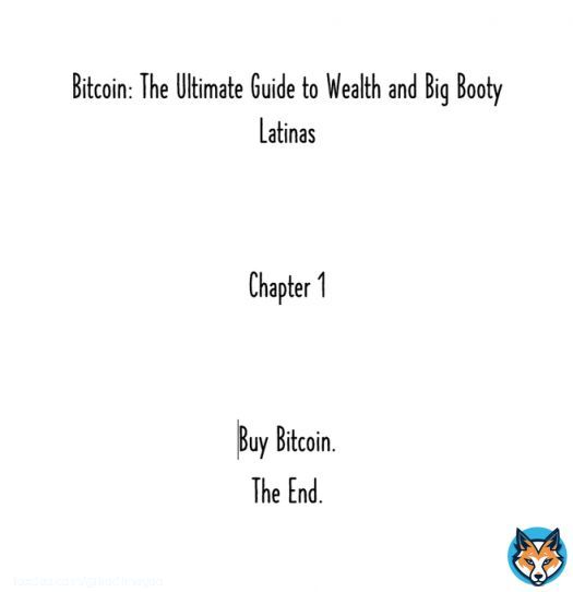 BREAKING NEWS  :  Magoo just released his new #Bitcoin book for $39.98 on @amazon with free shipping.