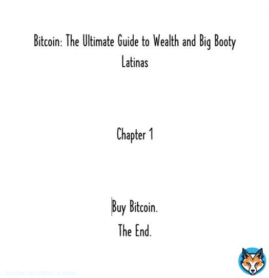 BREAKING NEWS  :  Magoo just released his new #Bitcoin book for $39.98 on @amazon with free shipping.