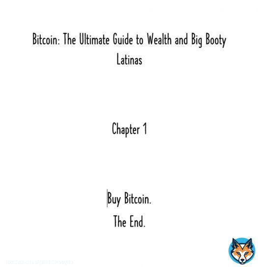 BREAKING NEWS  :  Magoo just released his new #Bitcoin book for $39.98 on @amazon with free shipping.