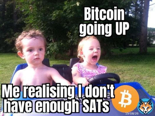 Every #Bitcoin Pleb today