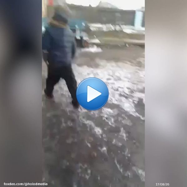 6-летний Богдан, которого сбил депутат &laquo;Единой России&raquo; Сергей Мамонтов, смог сам дойти до дома.  Сейчас мальчик находится в больнице с травмами различной степени тяжести.   Депутата Мамонтова, который бросил сбитого ребенка на дороге, отправили под арест на 11 суток
