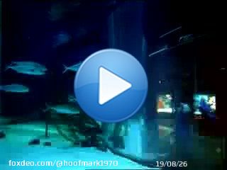 Reminds me of this old commercial #radissonblu #berlin #aquarium