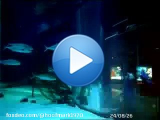 Reminds me of this old commercial #radissonblu #berlin #aquarium