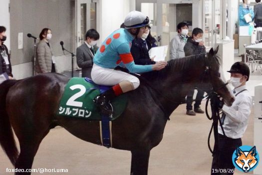 ダイヤモンドS シルブロンは3着でした  重賞初挑戦でよく頑張りました もちろん勝ってほしかったけど、 まだまだ成長できる馬 これからがさらに楽しみです  ルメール騎手、稲垣先生、スタッフの皆さん、お疲れさまでした