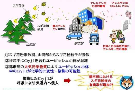 【ひるおび】花粉症対策に柔軟剤を使用しろってまだ言ってる #柔軟剤が花粉症を悪化 させてるのに。 粉砕花粉も踏みつけだけが原因かのように言ってて 大気汚染物質との衝突で花粉が砕けるって8年前の研究で言ってるよ。 国立大学55工学系学部HP