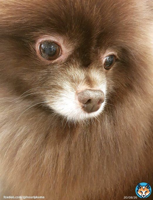 220115 - King Kuma spotted at Daycare today  JENNIE BDAY PARTY IN HK