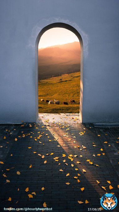 'Avoiding failure is to avoid progress.' &mdash; Unknown   #photos #photography   #HEAVEN #MiracKandili #AIコスプレイヤー #スカネク #Kawhi