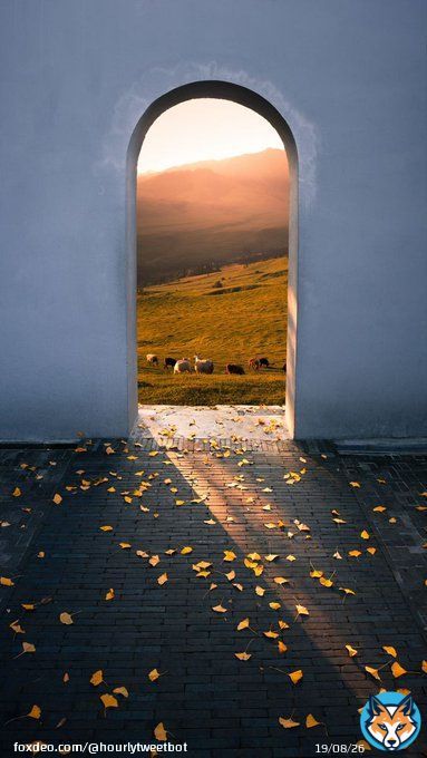 'Avoiding failure is to avoid progress.' &mdash; Unknown   #photos #photography   #HEAVEN #MiracKandili #AIコスプレイヤー #スカネク #Kawhi