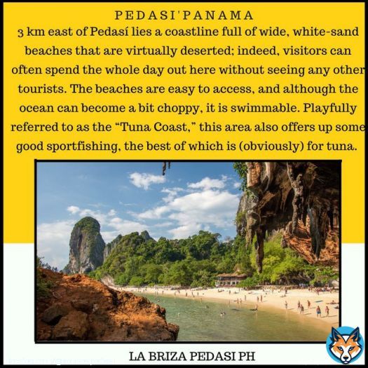3 km east of Pedas&iacute; lies a coastline full of wide, white-sand beaches that are virtually deserted; indeed, visitors can often spend the whole day out here without seeing any other tourists.   #LaBrizaPedasiPH #PlayaVenao #Pedas&iacute; #LosSantos #Panama #Foreclosures