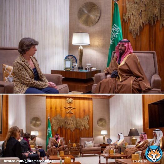 #ولي_العهد السعودي خلال استقباله بالامس وزيرة خارجية #فرنسا