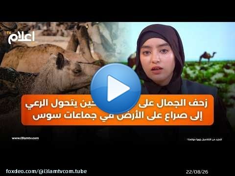 جماعات تحت المجهر// زحف الجمال على الحقول ..حين يتحول الرعي إلى صراع على الأرض في جماعات سوس